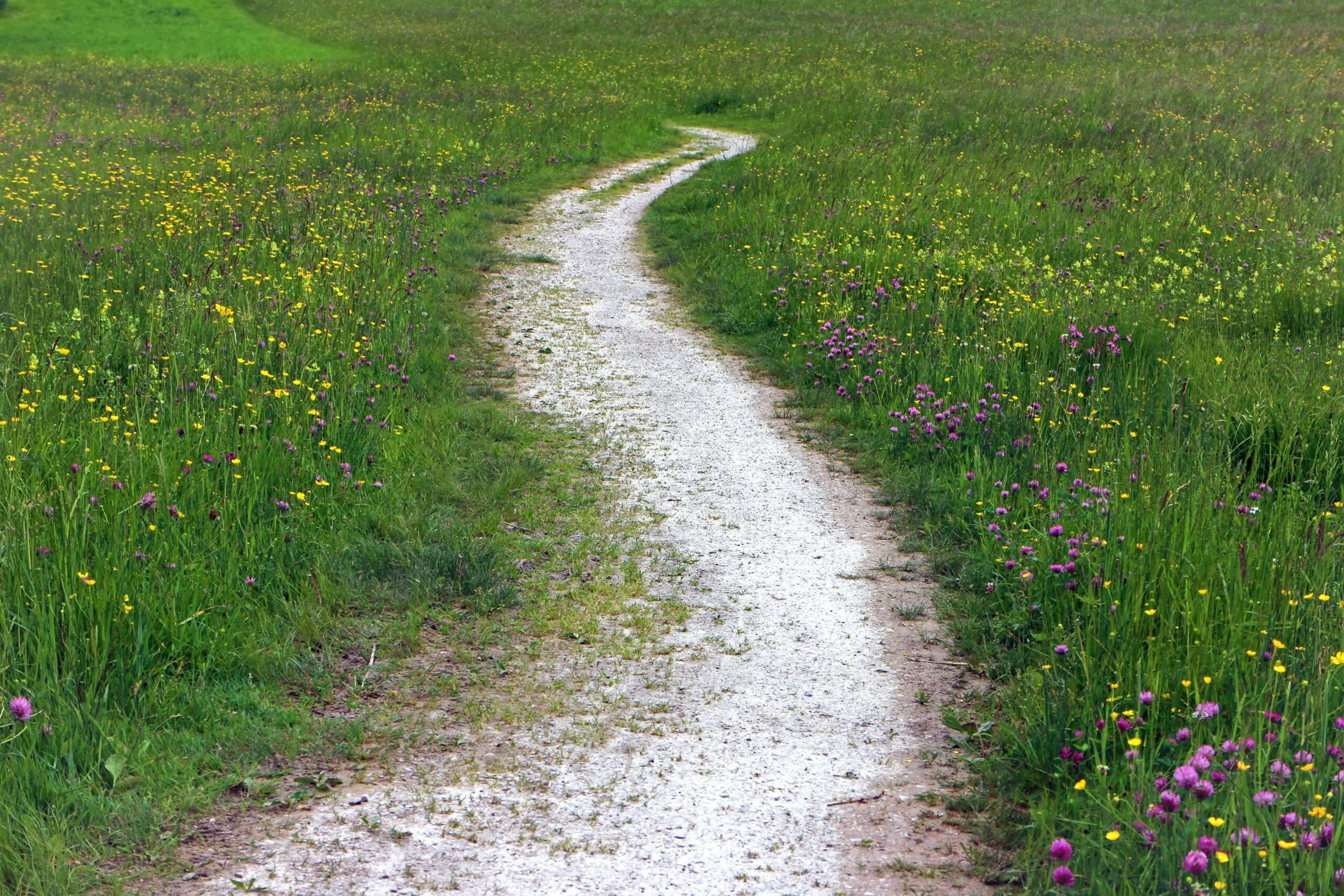 trail-352284